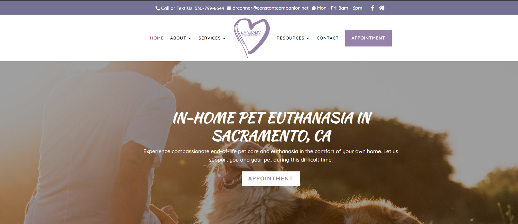 Homepage screenshot of Constant Companion, an in-home veterinary hospice and euthanasia service